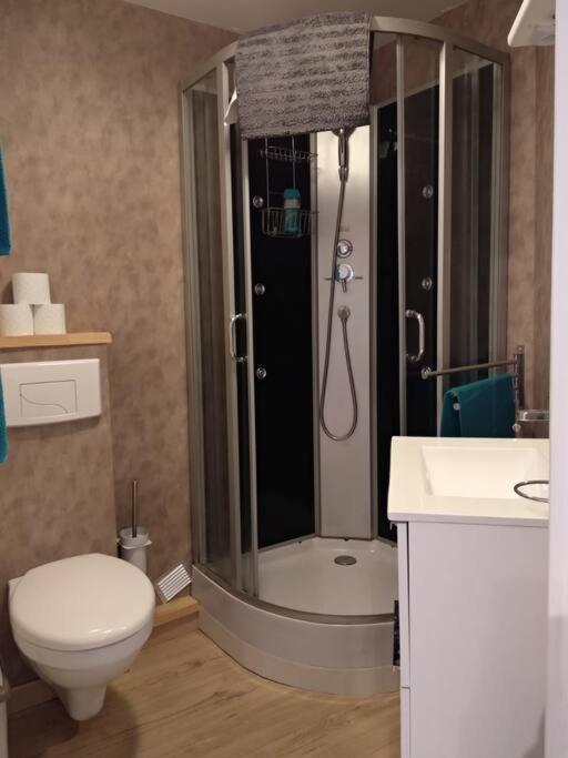 Appartement Centre Ville Rose Тулуза Екстер'єр фото