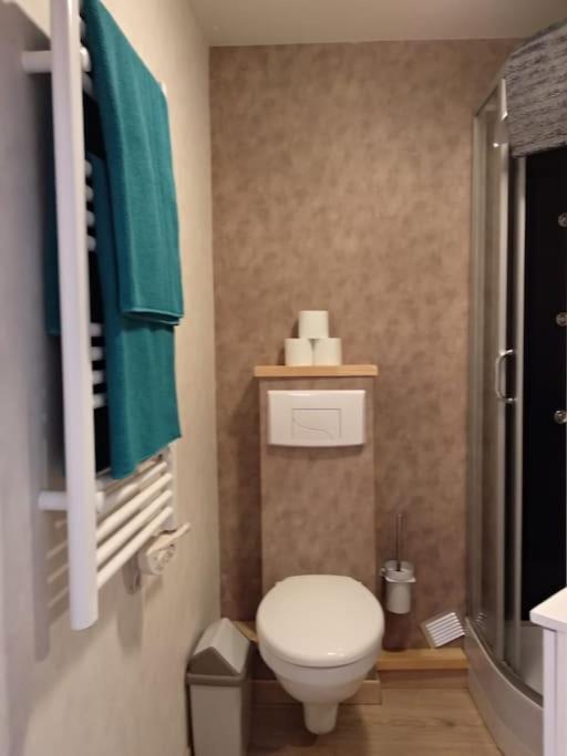 Appartement Centre Ville Rose Тулуза Екстер'єр фото